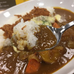 マイカリー食堂 - ドロっとしたカレー