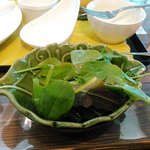 ダンデライオン - サラダ2回目