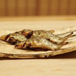 緒方 - 小鮎の炭火焼