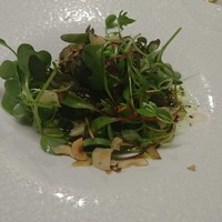 TACUBO - 