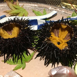 旬菜 おぐら家 - 生ウニ