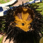 旬菜 おぐら家 - 生ウニ