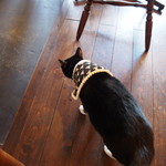 サビオカフェ - とんちゃん(女子)