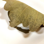 京菓子 岬屋 - 柏餅