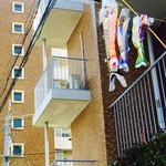 京菓子 岬屋 - 近所の住宅街で鯉のぼりが上がってました。