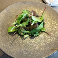 IL PINOLO 銀座 - 