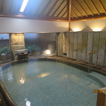 嵯峨沢館 - 蔵の湯内湯２