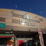 hasudasa-bisuerianoboribaiten - 