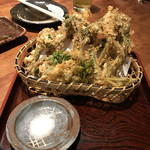 手打ち蕎麦 寺田家 - 山菜の天麩羅