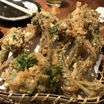手打ち蕎麦 寺田家 - コゴミがメーンでした