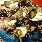 かがやき - サザエ