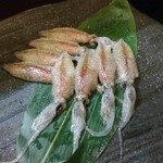 こなす - ホタルイカ