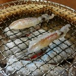 こなす - ホタルイカも炙ります