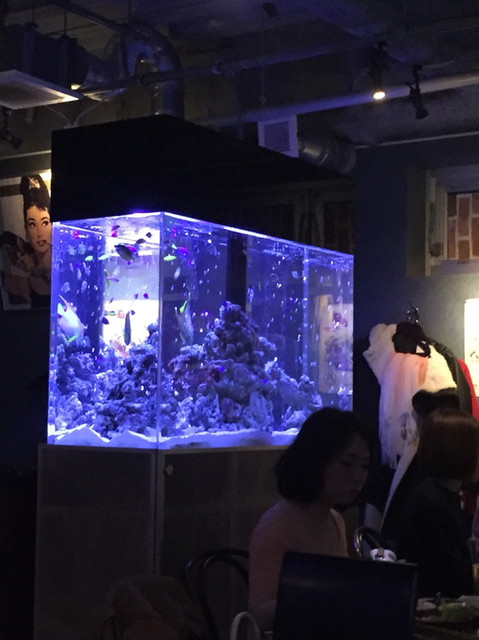 ビンテージ ブルー Vintage Blue 新静岡 ダイニングバー 食べログ