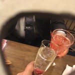 チャリアーノ - 乾杯