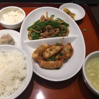碧麗春 - 