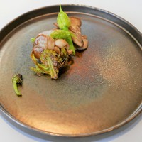 グリーチネ - 自家製サルシッチャ（永源寺舞茸、葱ぼうず、タンポポ、ケッパー）