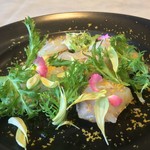 カーサ・デル・チーボ - 第51海洋丸さんのオオハタのブレザオラ仕立て 長芋のブラーチェと香草ソース