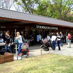 スターバックスコーヒー - 
