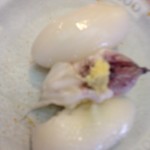 独楽寿司 - いか