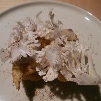 TTOAHISU - 