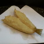 天ぷら 松川 - 鱚