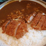 CoCo壱番屋 - 手仕込ヒレカツカレー（5辛300g）+チーズ