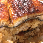 炭焼うな富士 - うな富士・上うな丼
      ごはんの上に乗っているうなぎの量だけではありません。ごはんの下にもうなぎが挟ませています。
      もう、うなぎ好きにはたまらんね。