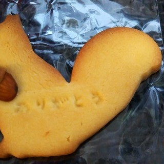 ヒナタカフェ_1