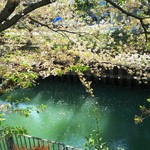 イノウエ グリリア - 　お店の前はこんな感じ