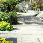 イノウエ グリリア -  お店の目の前は、緑道と桜並木