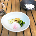 恵比寿 箸庵 - ホワイト・アスパラと空豆