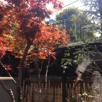 赤坂 津つ井 総本店 - 
