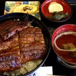 うなぎ丼（中）