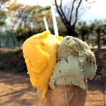 最後のピスタチオ＆マンゴー