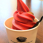 ピエール マルコリーニ - 料理写真: