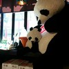 Yokohama Panda Cafe 東風