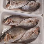 カフェ アンド デリ - 我が家は８匹釣り上げ計1.25kg×100g180円で2,250円。これに加え８匹水洗いしてもらい計800円の追加費用⇒3,050円でもちかえりました(2017.04.30)