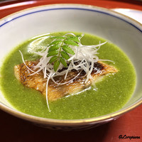 日本料理 新茶家 - のどぐろ焼に菜花餡