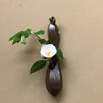 日本料理 岡谷 - 