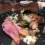 オッジ ダルマット - 