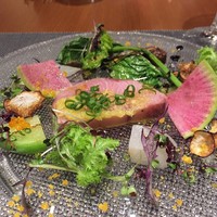 オッジ ダルマット 西麻布店 - 