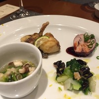 オッジ ダルマット 西麻布店 - 