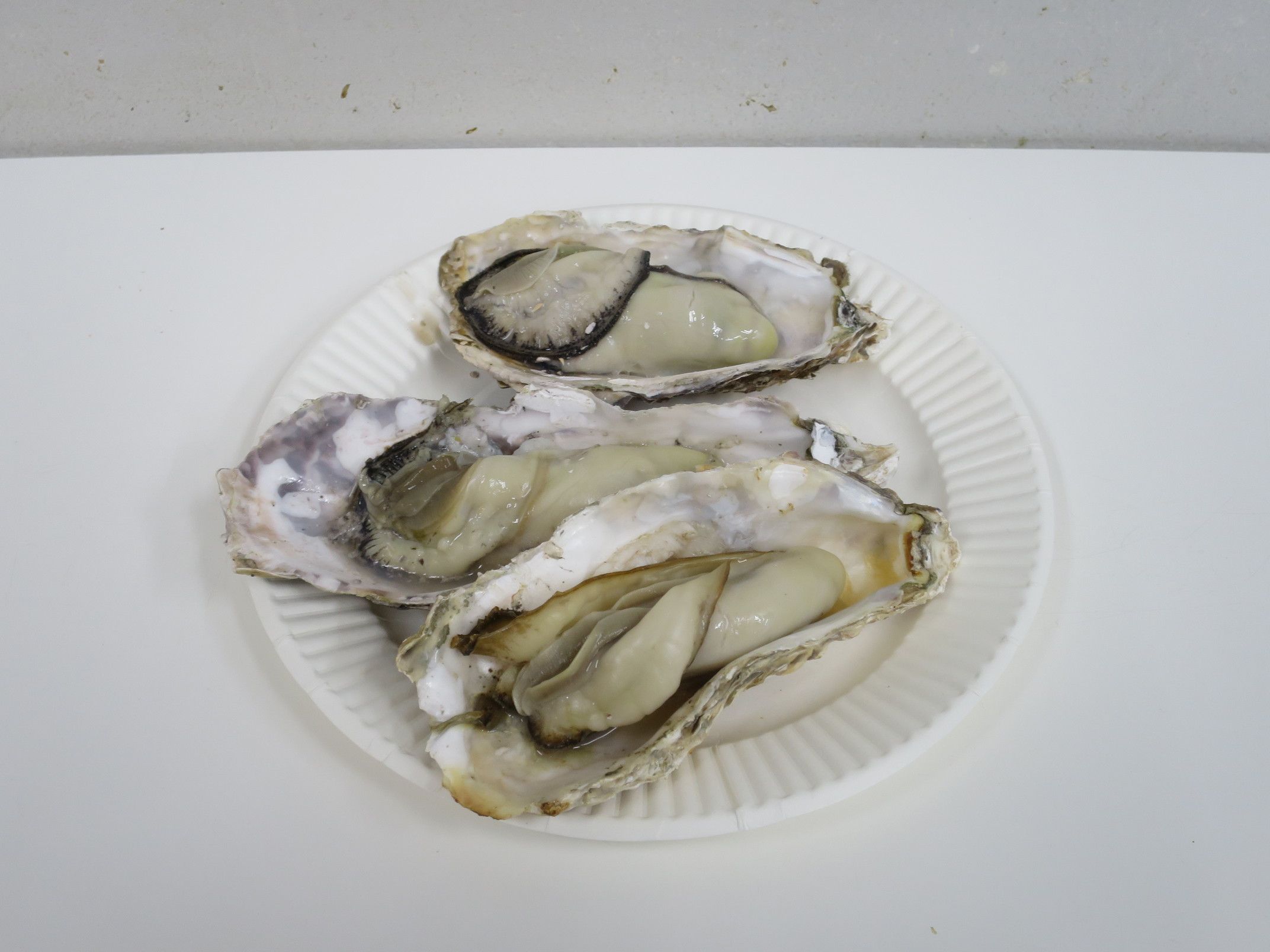 写真 : 蟹倶楽部 - 築地市場/シーフード | 食べログ
