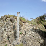 中華そば処 琴平荘 - 