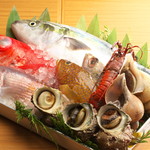 Kappou Izakaya Hanagiku - 三河湾直送の新鮮鮮魚です。鮮度抜群は勿論ですが地元でしかお目にかかれない珍しい魚に出会える事もあります。