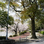 ピエールプレシュウズ - 杁ケ池公園