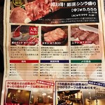 シンラガーデン - 新聞折込のチラシ裏