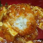 めだかタンタン - DAY-5