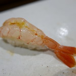 鮨匠 のむら - ナミクダヒゲエビ